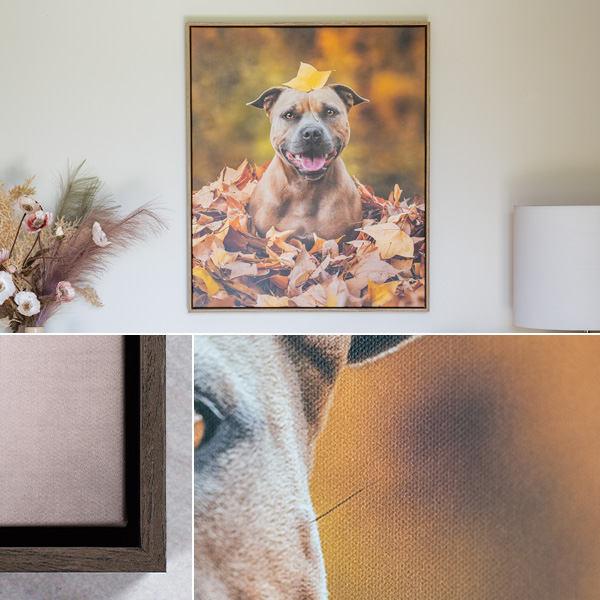 Framed canvas of Lexie