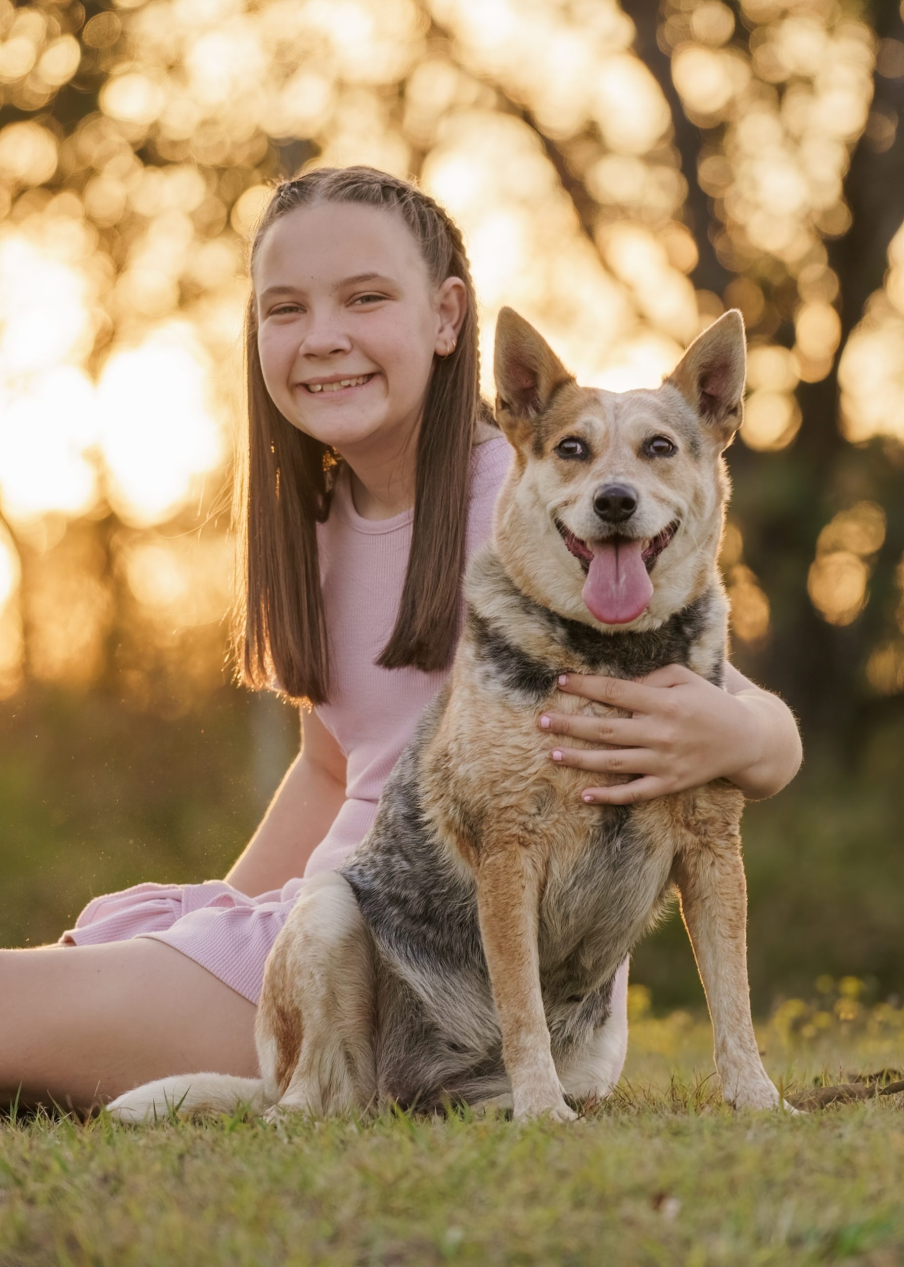 A senior dog with their family, photographed gently outdoors